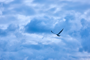 Image showing clouds in the blue sky