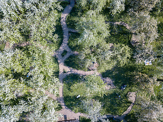 Image showing Aerial view of a green park on a sunny day. Kiev, Ukraine.
