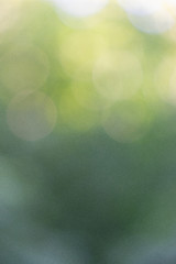 Image showing Beautiful green yellow abstract layout with bokeh circles. Creative background