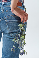 Image showing Beautiful blue flowers eryngium holds a woman