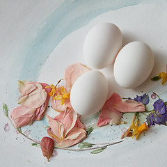 Image showing eggs on a paper