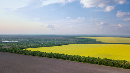 Image showing Panoramic view of a field and a village in the distance against a blue sky. Photo from the drone