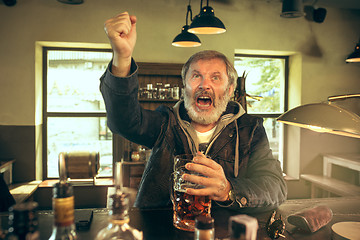 Image showing The senior bearded male drinking beer in pub