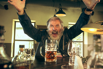 Image showing The senior bearded male drinking beer in pub