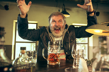 Image showing The senior bearded male drinking beer in pub