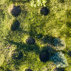 Image showing pits in the fields for growing trees, top view