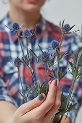 Image showing woman holding blue flowers eryngium