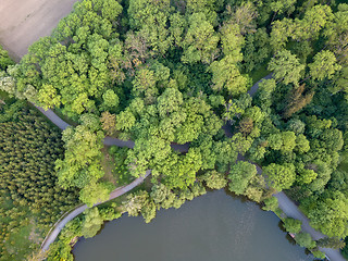 Image showing Top view of a green forest with trails and a lake