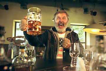 Image showing The senior bearded male drinking beer in pub