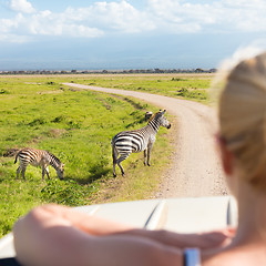 Image showing Woman on african wildlife safari.