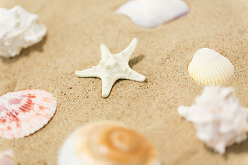 Image showing starfish and seashells on beach sand