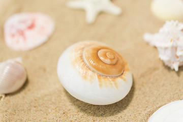 Image showing seashells on beach sand