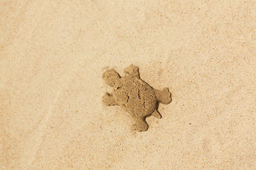 Image showing sand shape made by turtle mold on summer beach
