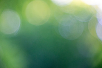 Image showing Bright creative background of blurry green foliage with bokeh ef