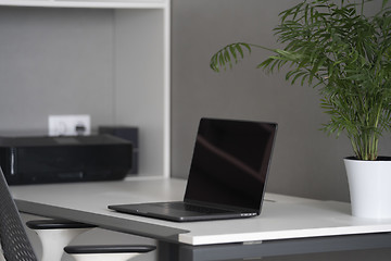 Image showing New modern laptop with black screen, up-to-date equipment and green flowerpot on an office table. Green workspace concept.