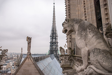 Image showing Chimera of the Cathedral Notre Dame de Paris