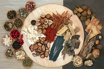 Image showing Acupuncture Treatment with Chinese Herbs