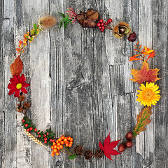 Image showing Autumn Wreath Beauty