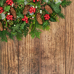 Image showing Winter Flora on Rustic Wood  