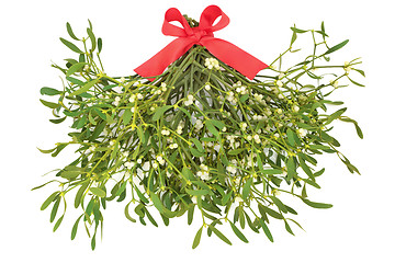 Image showing Under the Mistletoe