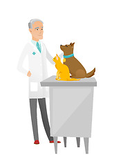 Image showing Senior caucasian veterinarian examining pets.