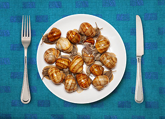 Image showing Seafood on a plate for cooking