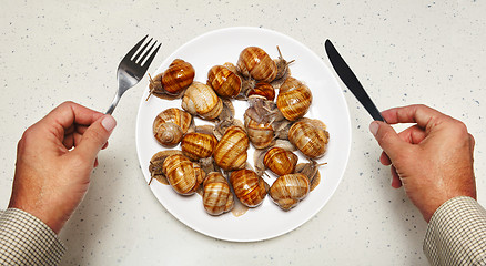 Image showing Seafood on white plate for cooking