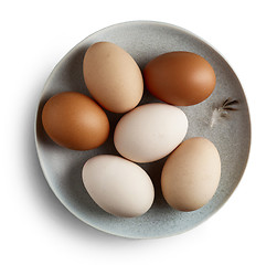 Image showing plate of eggs