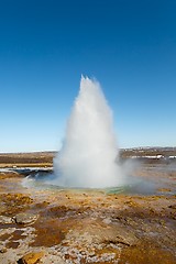 Image showing Erupting geyser in sunlight