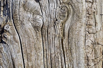 Image showing Old Wood Texture