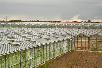 Image showing Greenhouse agricultural production