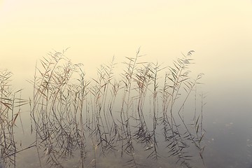 Image showing Fog on the lake