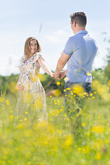 Image showing Young happy pregnant couple in love holding hands, relaxing in meadow.