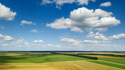 Image showing Rural scenic landscape with blue sky and clouds, green fields, yellow meadows in a summer sunny day. Panoramic view from drone.