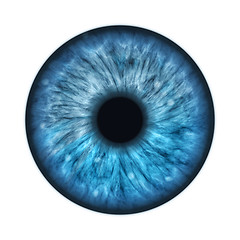 Image showing blue human iris