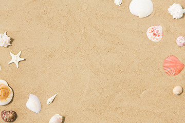 Image showing seashells on beach sand