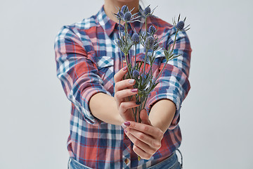 Image showing A woman with blue flowers eringium