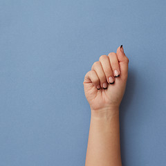 Image showing Closed female hand isolated on blue background