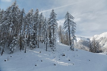 Image showing Winter Snowy Landscape