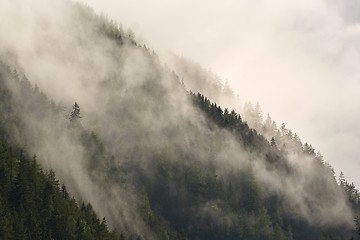 Image showing Mountain forest foggy landscape