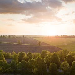 Image showing Aerial view from the drone, a bird\'s eye view of abstract geometric forms of agricultural fields with a dirt road through them in the summer evening at sunset.