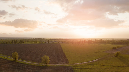 Image showing Aerial view from the drone, a bird\'s eye view of abstract geometric forms of agricultural fields with a dirt road through them in the summer evening at sunset.