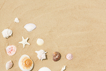 Image showing seashells on beach sand