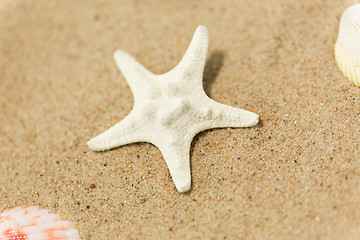 Image showing starfish on beach sand