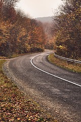 Image showing Autumn road through woods