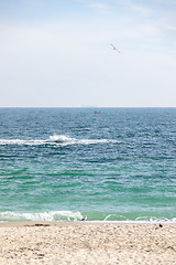 Image showing Picturesque seascape with flying birds and boats, soft waves on summer day.