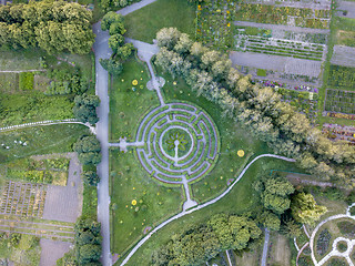 Image showing Panoramic view from the drone to a part of botanical garden with with a labyrinth, trees, flower beds with flowers.