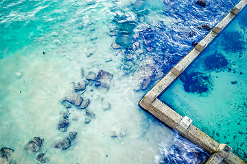 Image showing Aerial abstract of ocean and rock pool