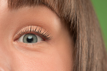 Image showing The close up eye on face of young beautiful caucasian girl