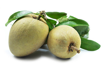 Image showing Fresh sapodilla tropical fruit